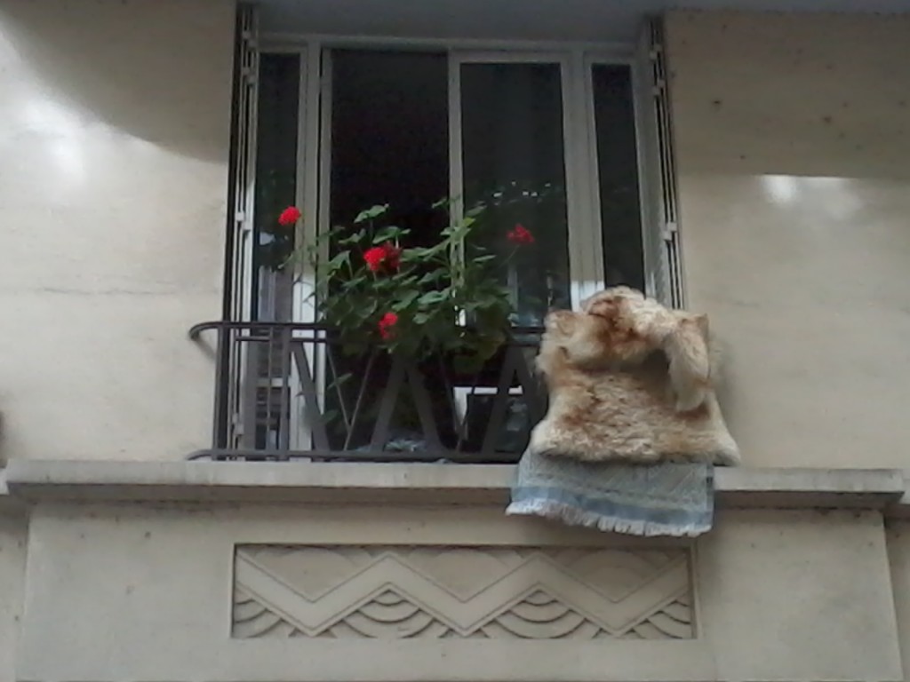 Un balcon voisin à Clichy